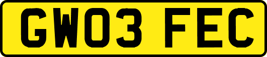 GW03FEC