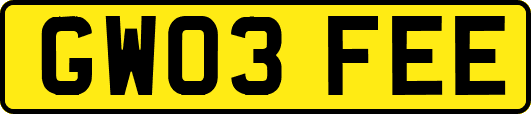 GW03FEE