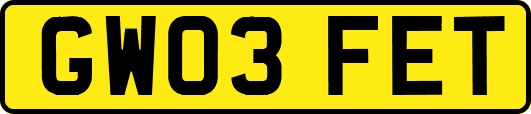 GW03FET