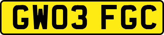 GW03FGC