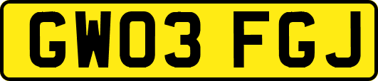 GW03FGJ