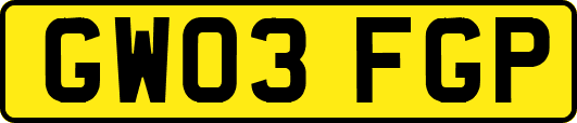 GW03FGP