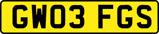 GW03FGS