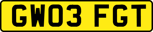 GW03FGT