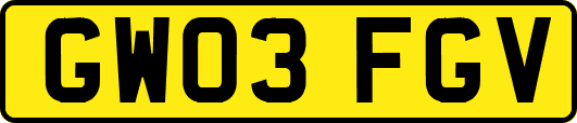 GW03FGV