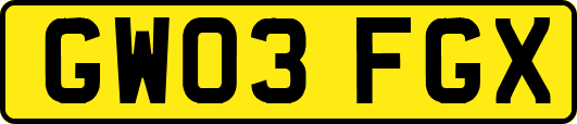 GW03FGX