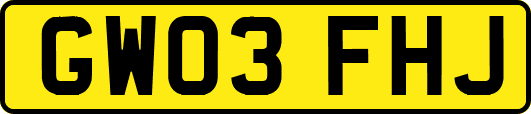GW03FHJ