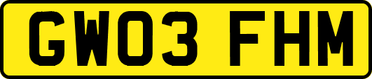 GW03FHM