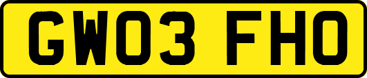 GW03FHO