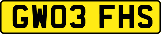 GW03FHS