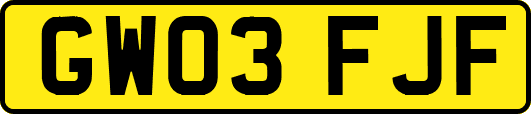 GW03FJF