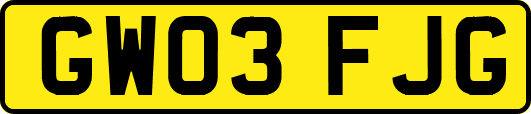 GW03FJG