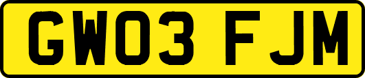 GW03FJM