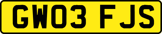GW03FJS