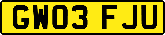 GW03FJU