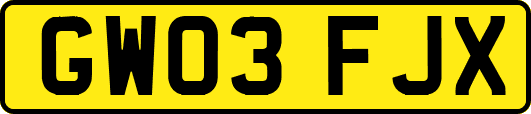 GW03FJX