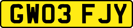 GW03FJY