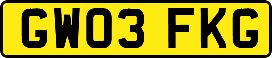 GW03FKG