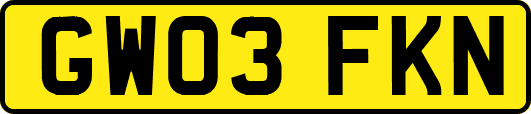 GW03FKN