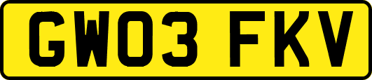 GW03FKV