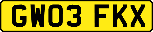 GW03FKX