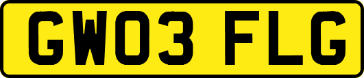 GW03FLG