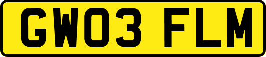 GW03FLM