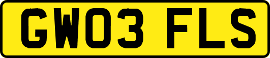 GW03FLS