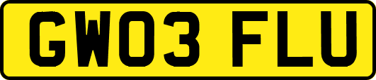 GW03FLU