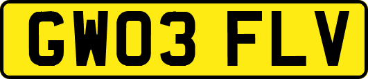 GW03FLV
