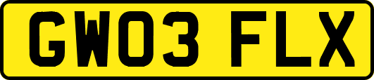 GW03FLX