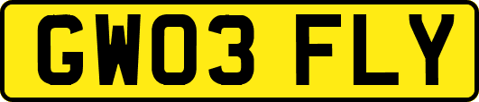 GW03FLY