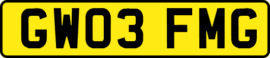 GW03FMG