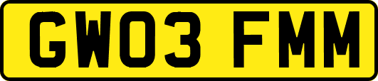 GW03FMM