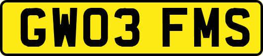 GW03FMS