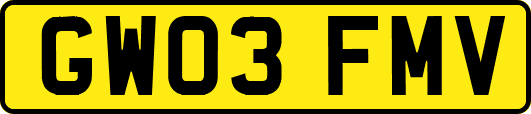GW03FMV