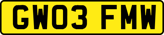 GW03FMW