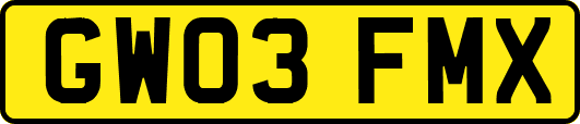 GW03FMX