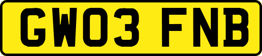 GW03FNB