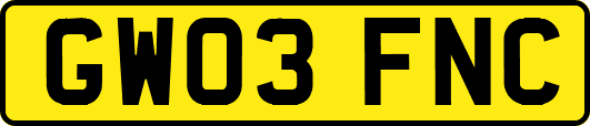 GW03FNC