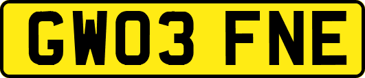 GW03FNE