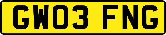 GW03FNG