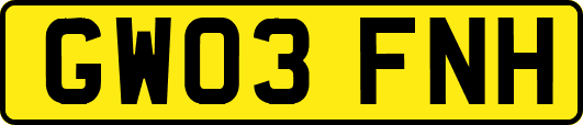 GW03FNH