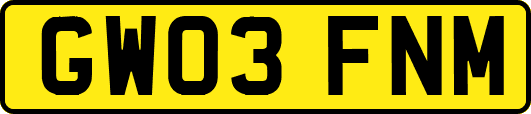 GW03FNM