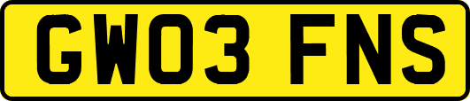 GW03FNS