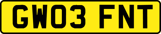 GW03FNT