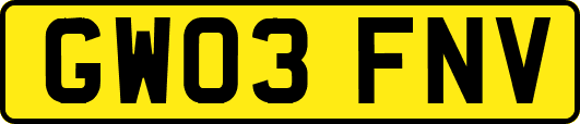 GW03FNV