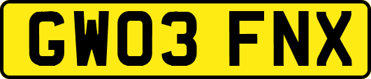 GW03FNX