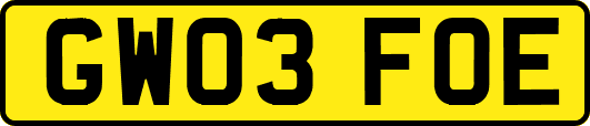 GW03FOE