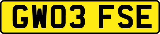 GW03FSE
